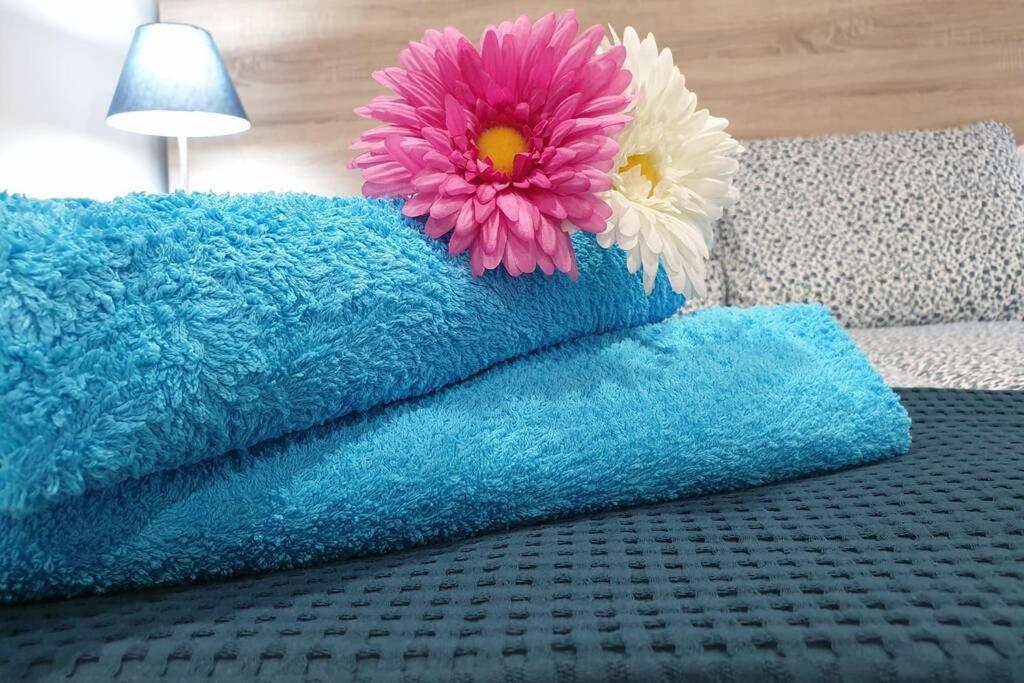 Apartamento Eucalipto Mozaga Bagian luar foto