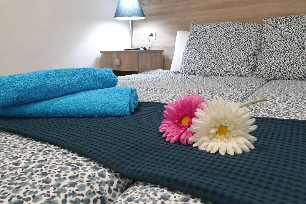 Apartamento Eucalipto Mozaga Bagian luar foto